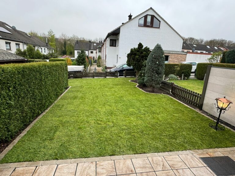 WhatsApp Image 2025-02-04 at 19.36.24 (1)