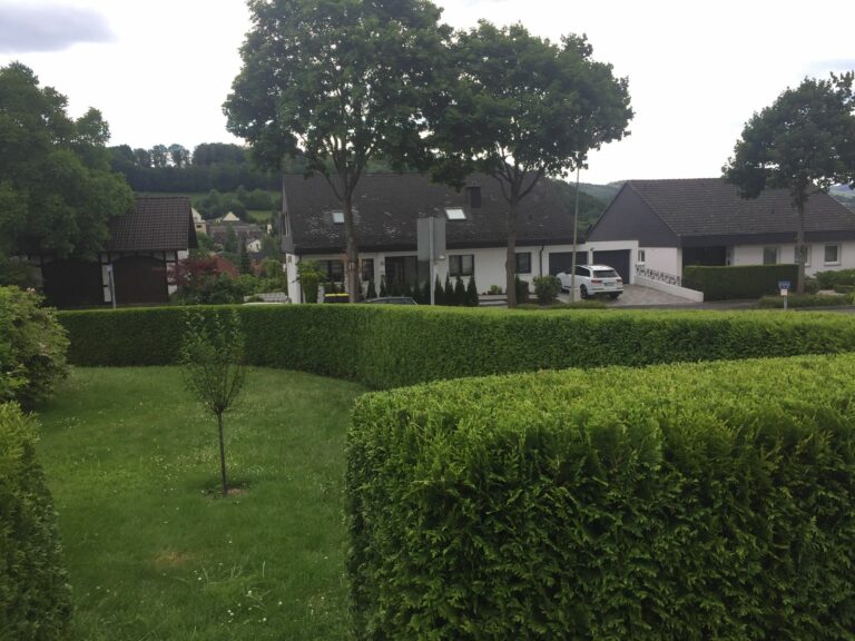 WhatsApp Image 2025-02-04 at 19.36.26 (6)